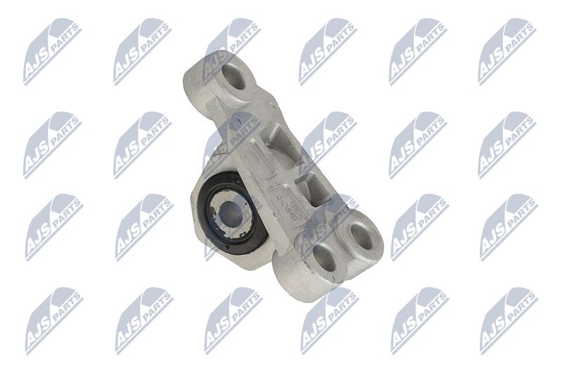 Paigutus, Mootor, NTY ZPS-CH-118