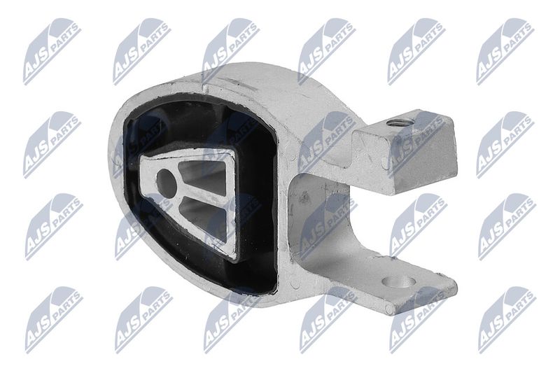 Paigutus, Mootor, NTY ZPS-FR-038