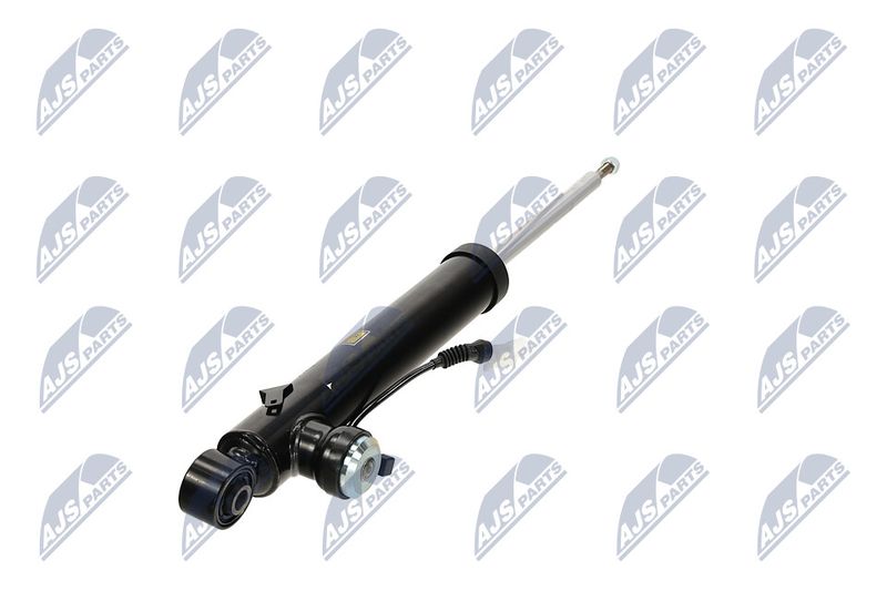 Amort, NTY A-PL-065