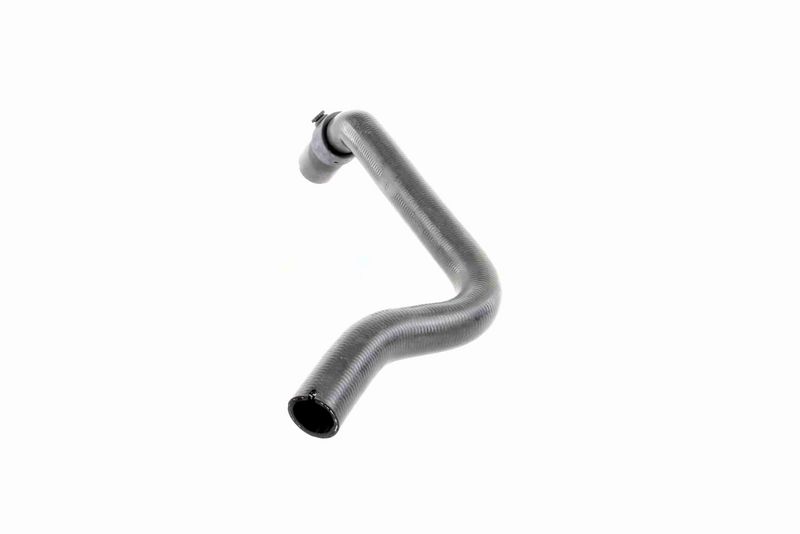 VAICO V40-1169 Radiator Hose