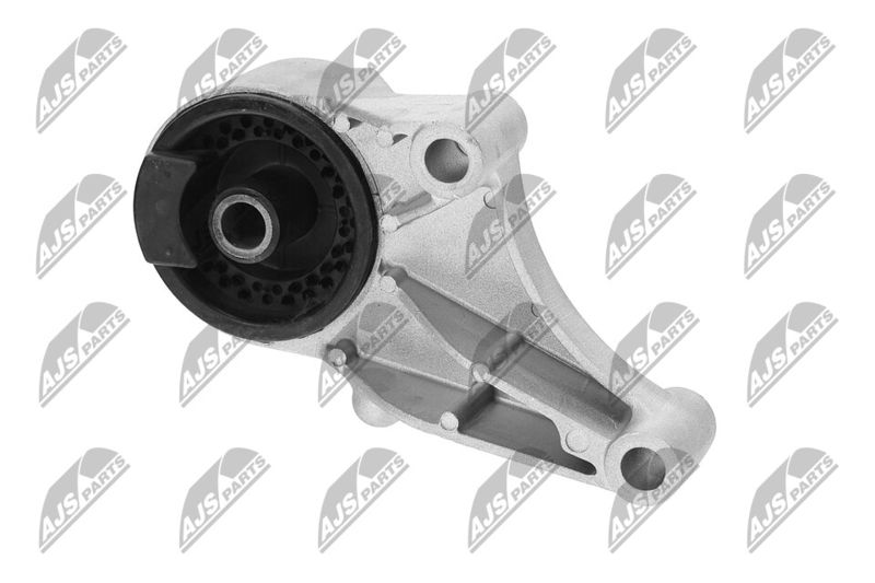 Paigutus, Mootor, NTY ZPS-PL-069