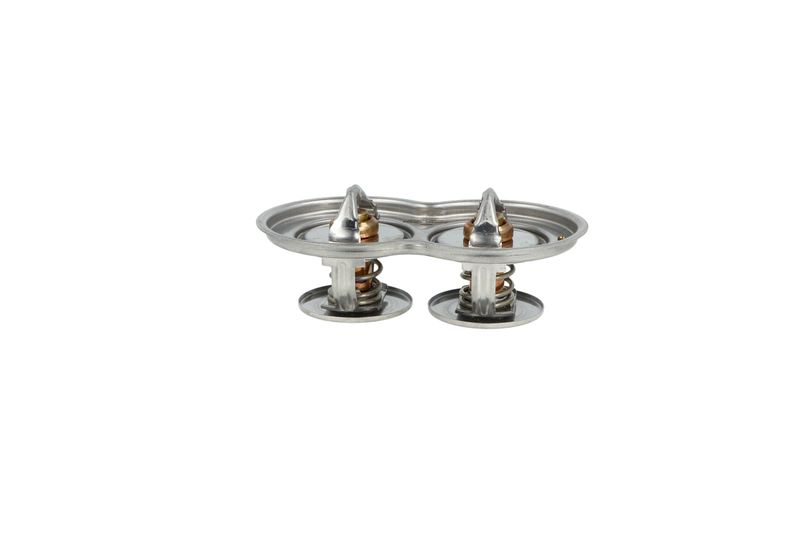 Termostat, chladivo 725433