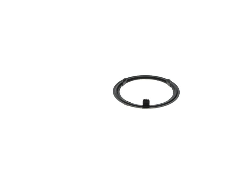 BOSCH F 01C 320 095 Seal