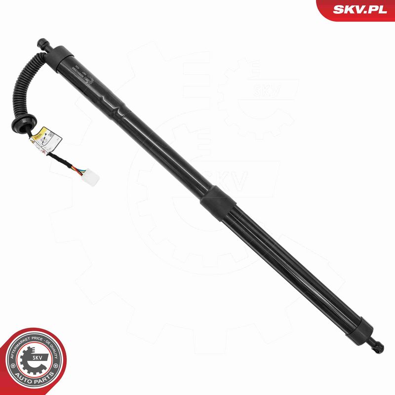ESEN SKV 52SKV295 Electric Motor, tailgate