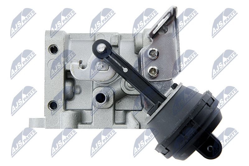 EGR-klapp, NTY EGR-AU-031