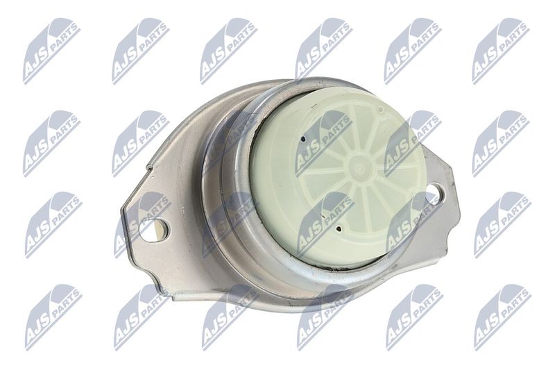 Paigutus, Mootor, NTY ZPS-LR-020