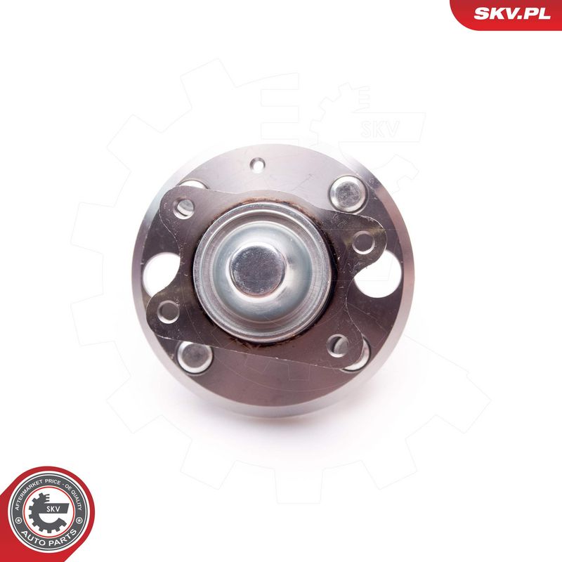 Rattalaagrikomplekt, ESEN SKV 29SKV111