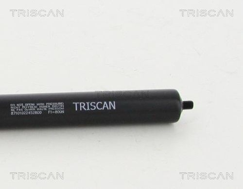 TRIS87101022452800_3.JPG