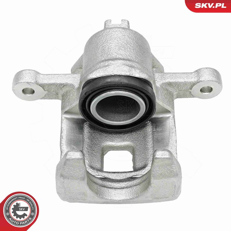 Pidurisadul, ESEN SKV 79SKV433