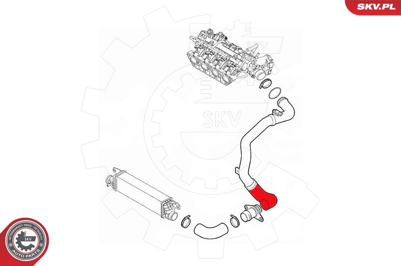 ESEN SKV 43SKV366 Charge Air Hose