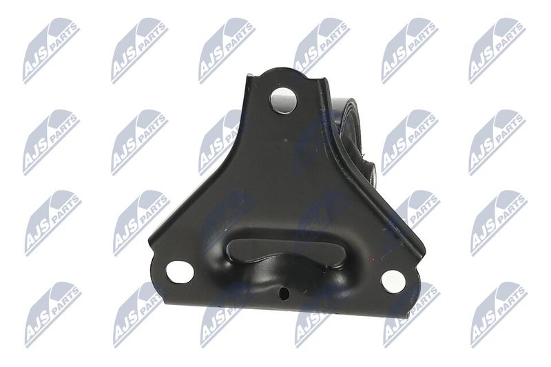 Paigutus, Mootor, NTY ZPS-KA-300