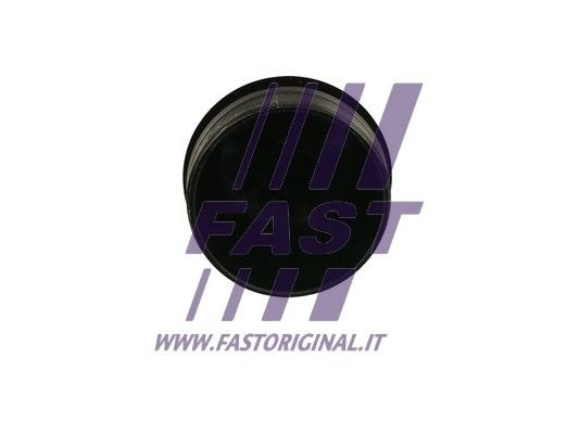 FT94748_2_1.JPG