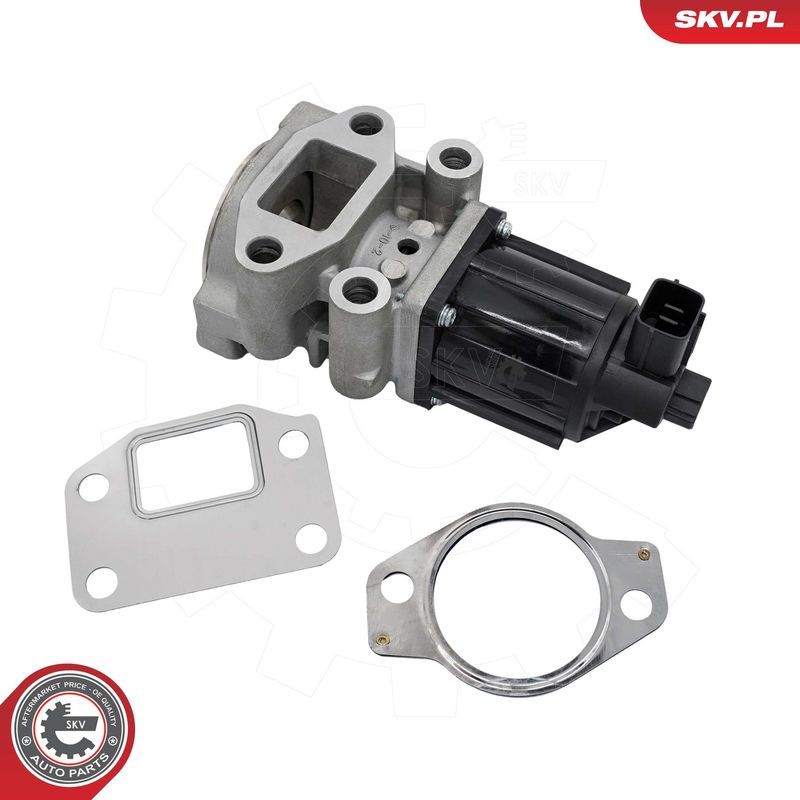 EGR-klapp, ESEN SKV 14SKV300
