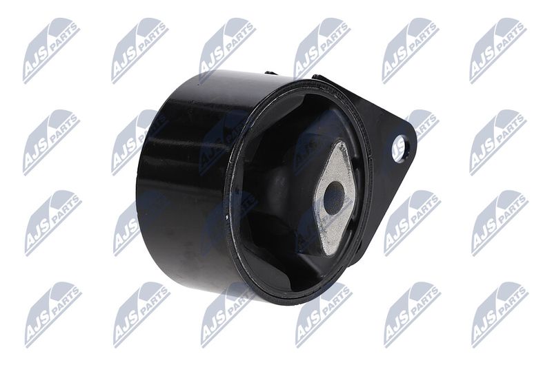 Paigutus, Mootor, NTY ZPS-CH-064