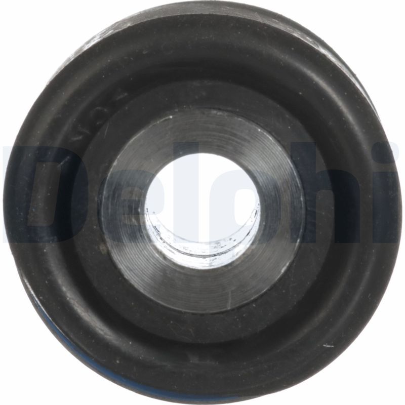 DELPHI TD1824W Mounting, control/trailing arm
