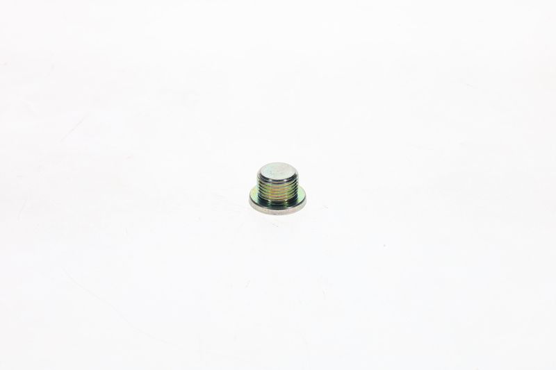 Surub F 002 D13 566 BOSCH