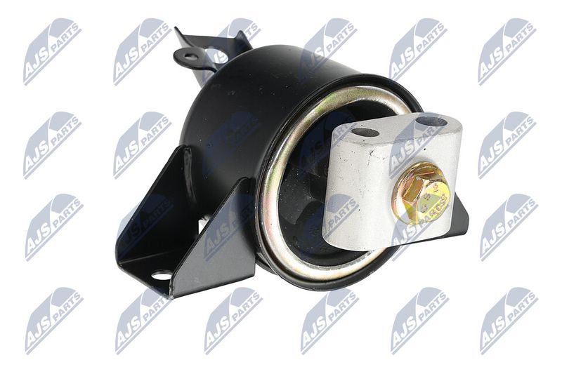 Paigutus, Mootor, NTY ZPS-DW-010