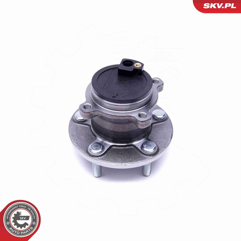 ESEN SKV 29SKV401 Wheel Bearing Kit