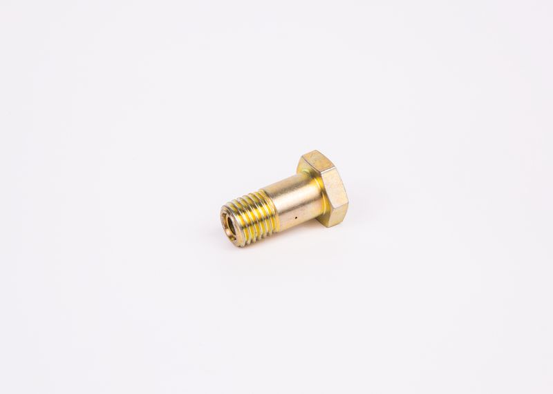 Surub F 002 D13 579 BOSCH