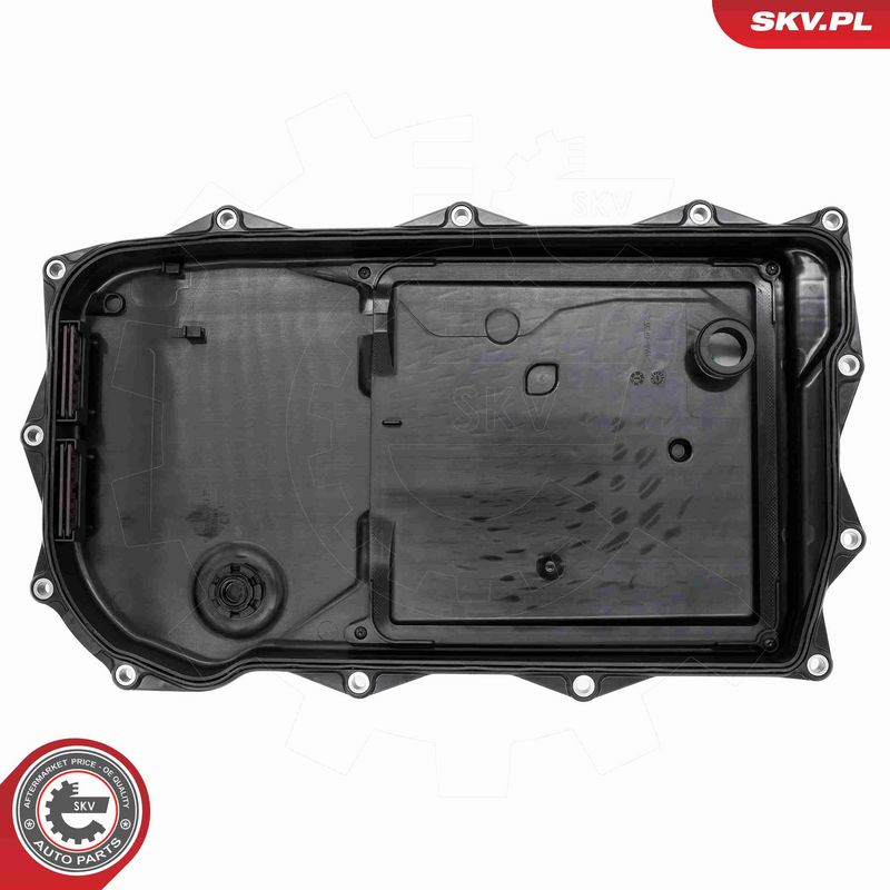 ESEN SKV 48SKV155 Automatinės pavarų dėžės karteris