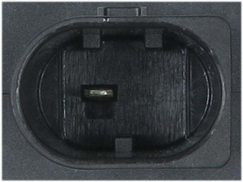 197732.JPG