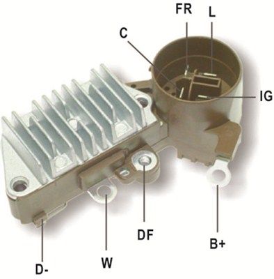 DDF_AMP0844_WR.JPG