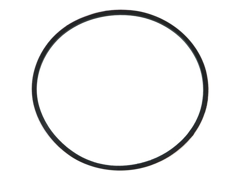 Brand new AS-PL Starter motor o-ring