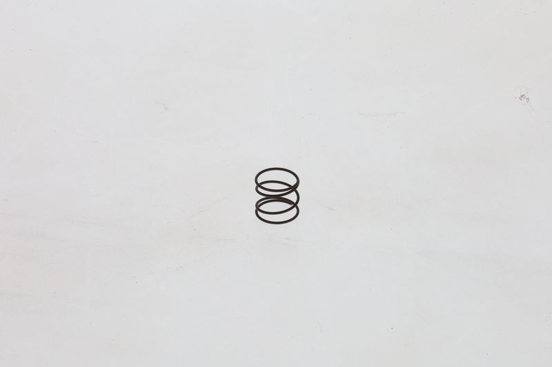 BOSCH 1464610363 Spring
