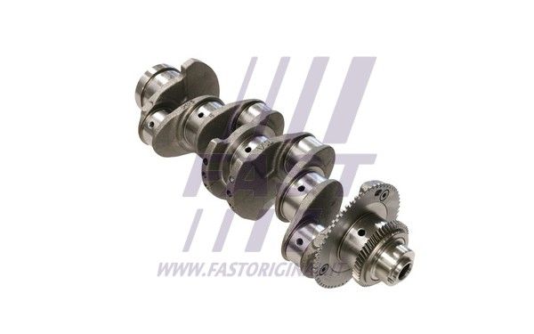FT51702_1_1.JPG