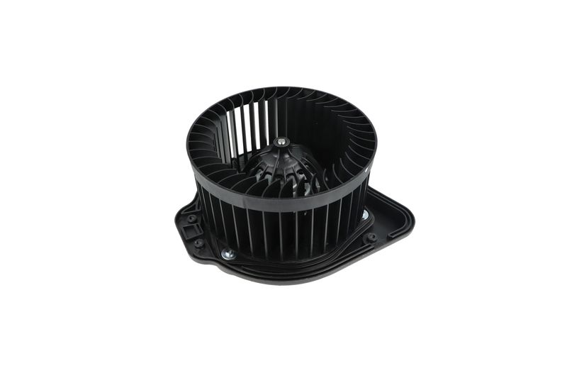 Salongipuhur, NRF 34136