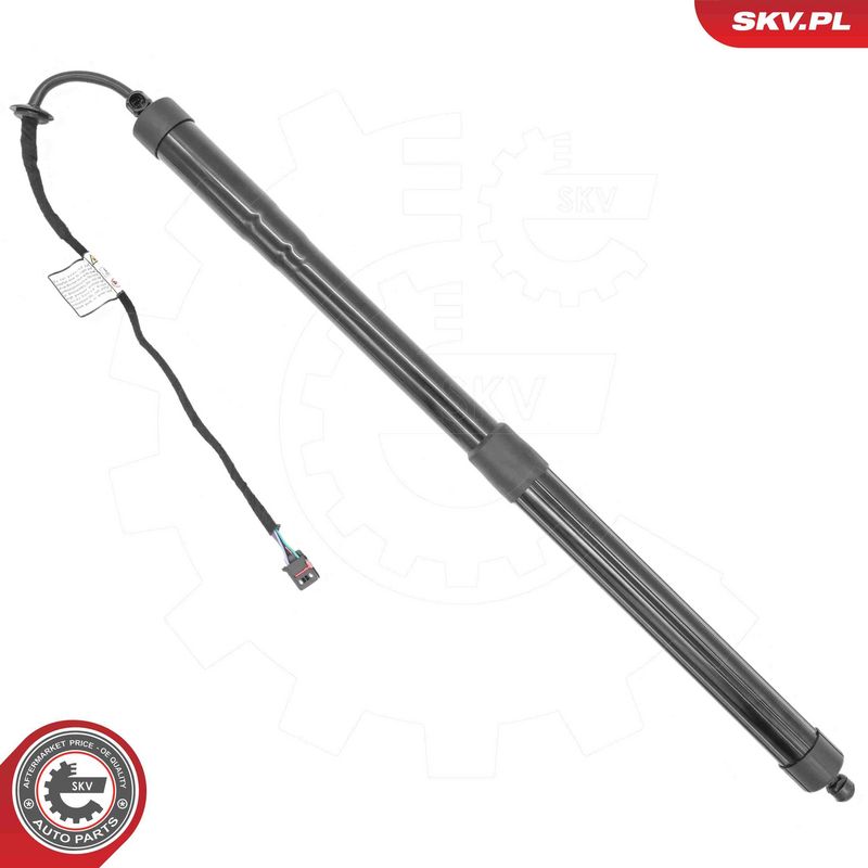 ESEN SKV 52SKV226 Electric Motor, tailgate