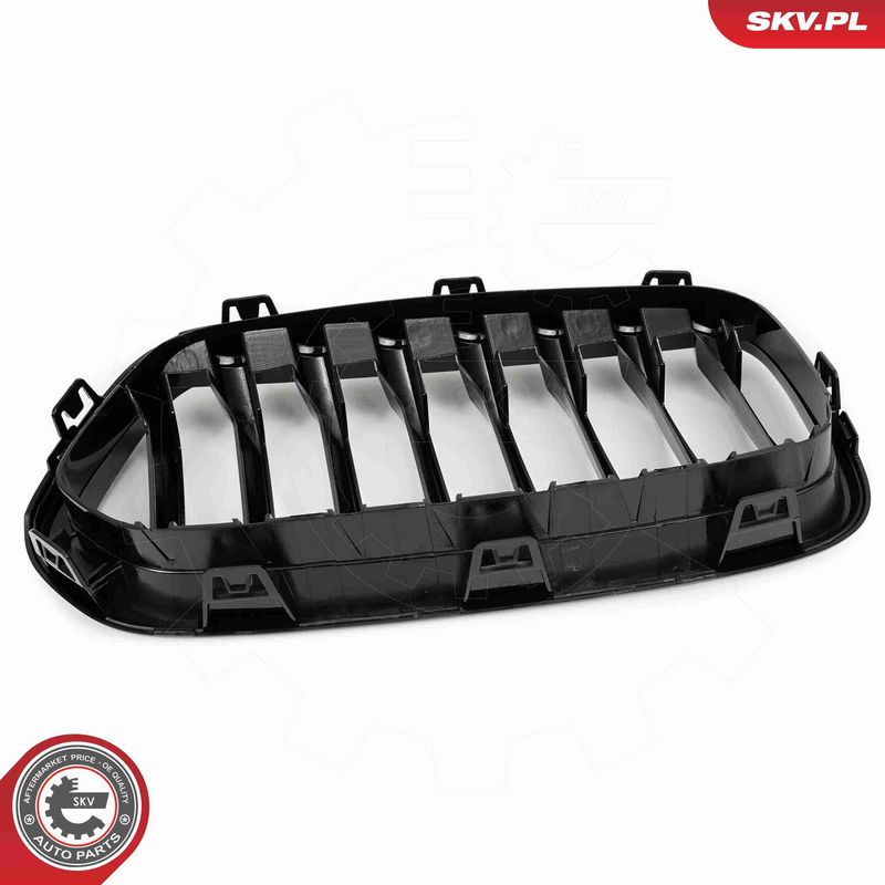 ESEN SKV 66SKV245 Radiator Grille