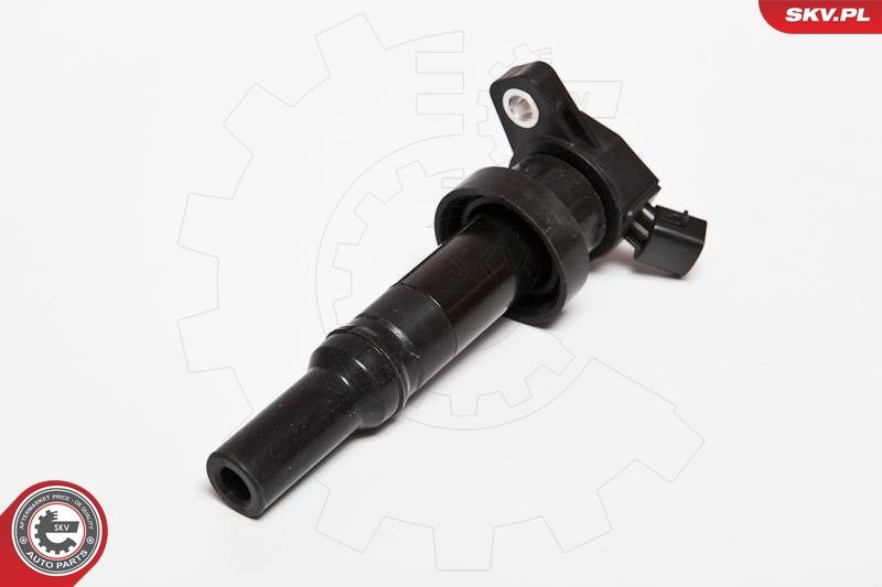 ESEN SKV 03SKV204 Ignition Coil