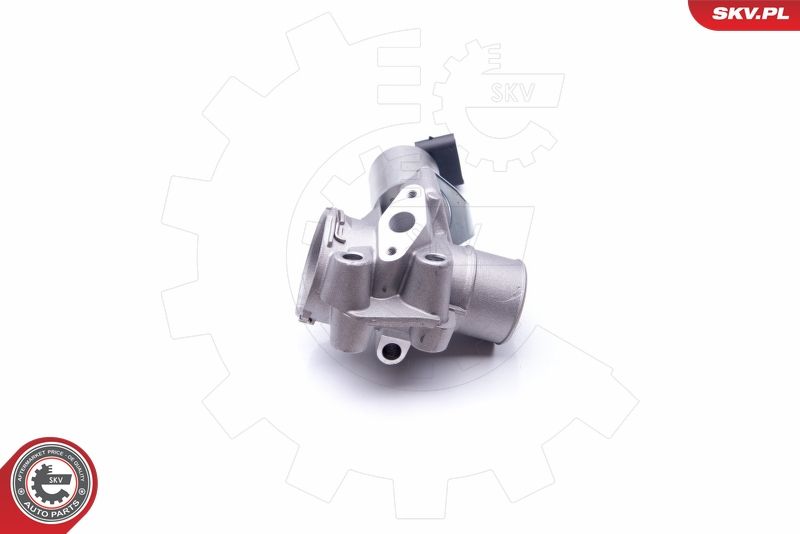 ESEN SKV 14SKV186 EGR Valve