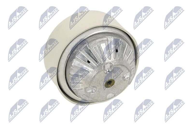 Paigutus, Mootor, NTY ZPS-ME-102