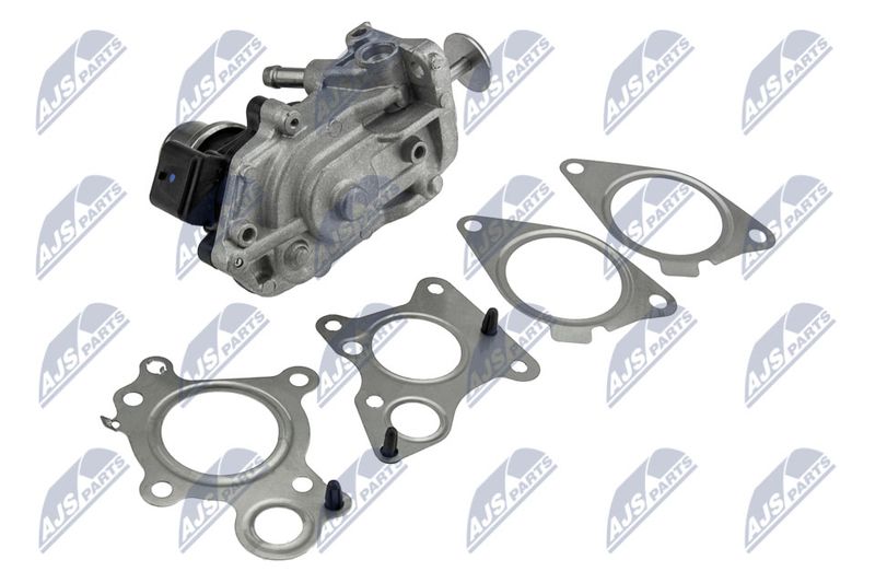 EGR-BM-014_2-WM.JPG
