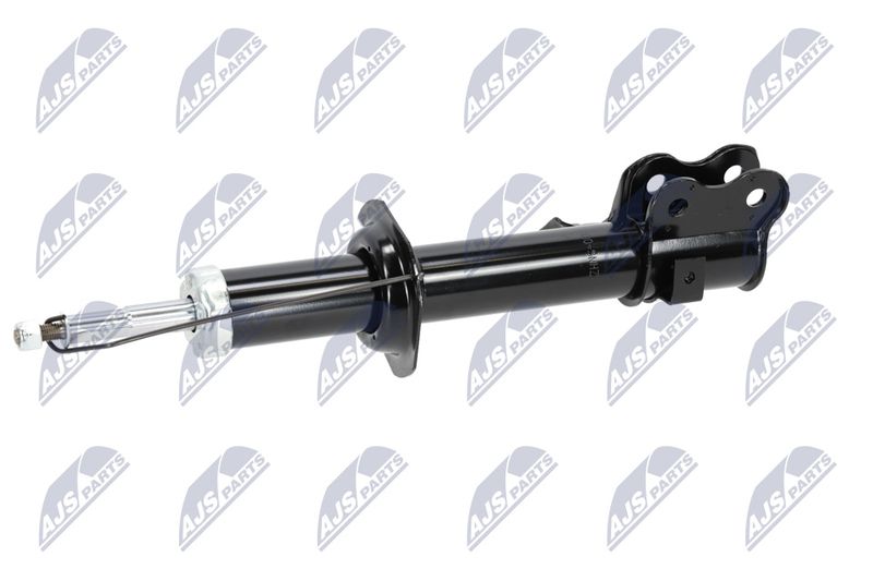 Amort, NTY A-NS-009