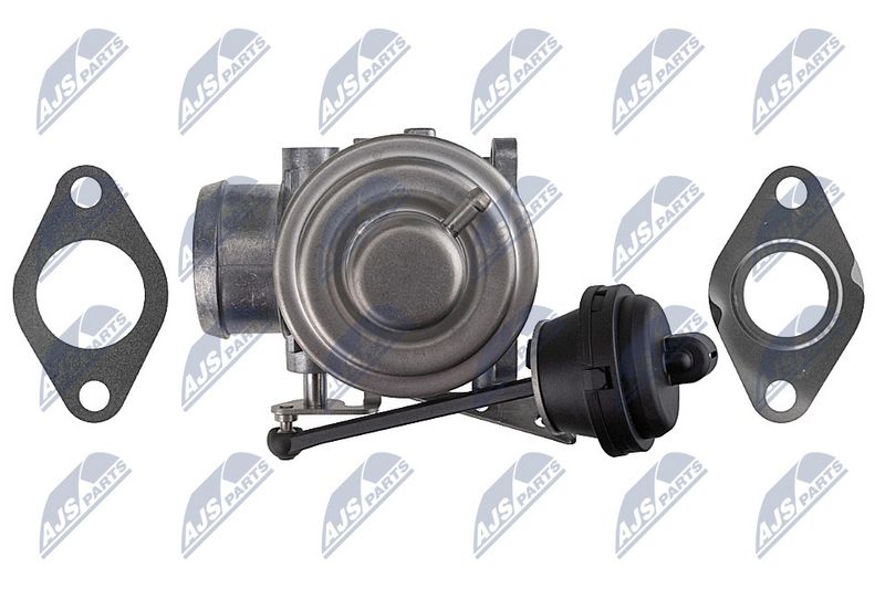EGR-klapp, NTY EGR-WW-031