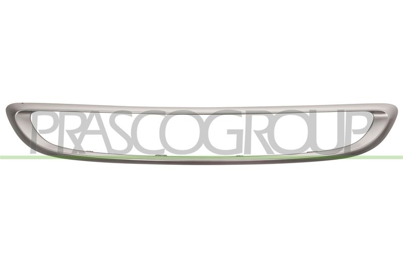 PRASCO Rėmas, radiatoriaus grotelės