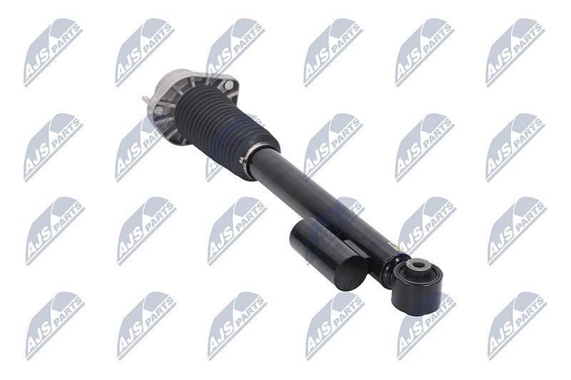 Amort, NTY A-LR-019