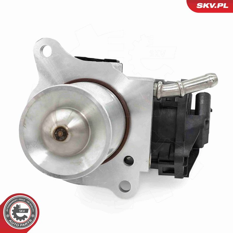 ESEN SKV 14SKV266 EGR Valve