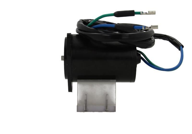BV PSH 350.563.000.200 Electric Motor