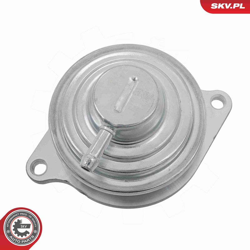 ESEN SKV 14SKV326 EGR Valve