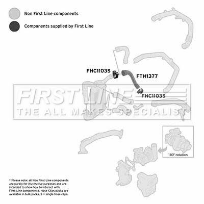 FTH1377_1094096.JPG