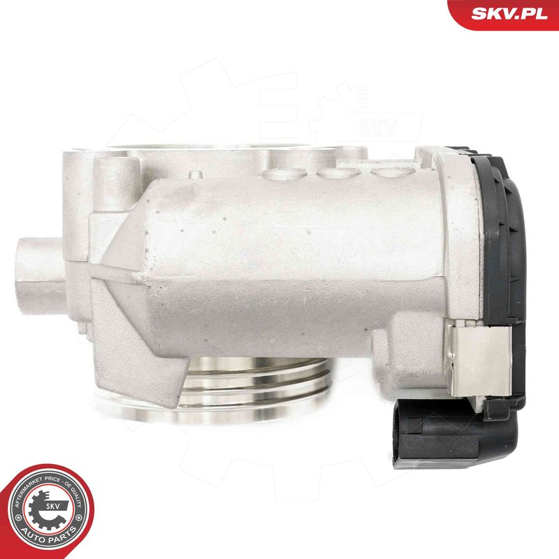 ESEN SKV 12SKV133 Throttle Body