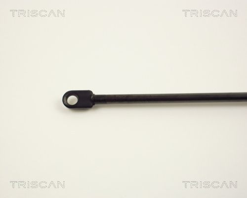 TRIS8710369_3.JPG