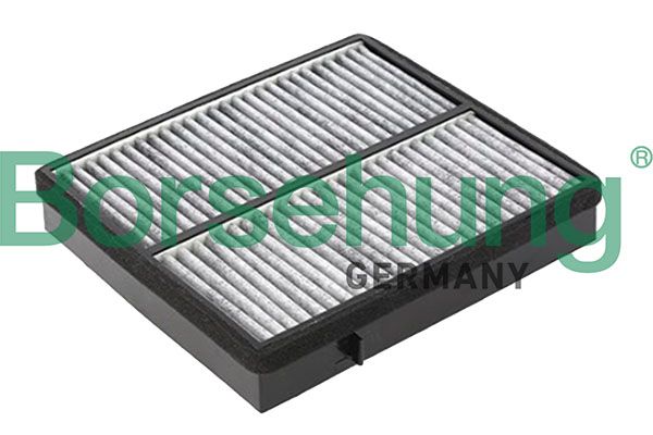 Borsehung Filtras, salono oras