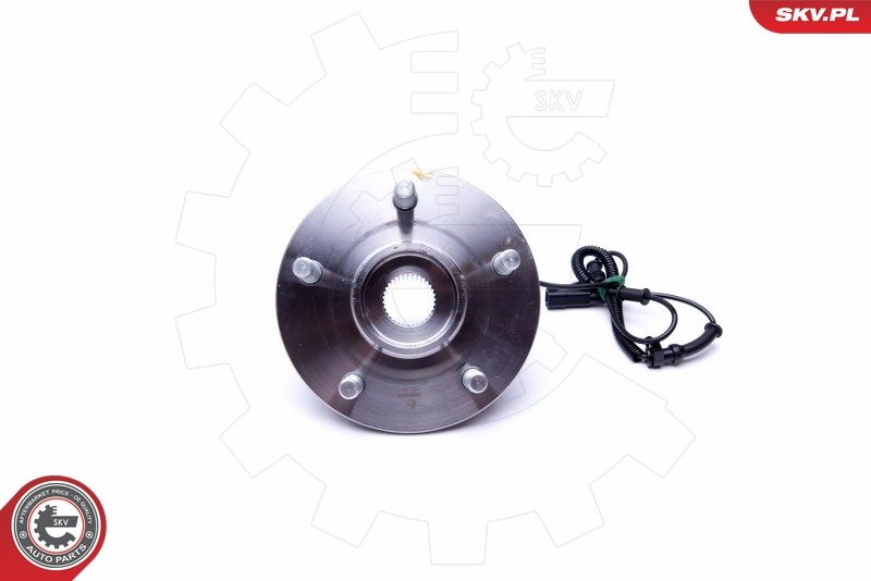 ESEN SKV 29SKV318 Wheel Bearing Kit