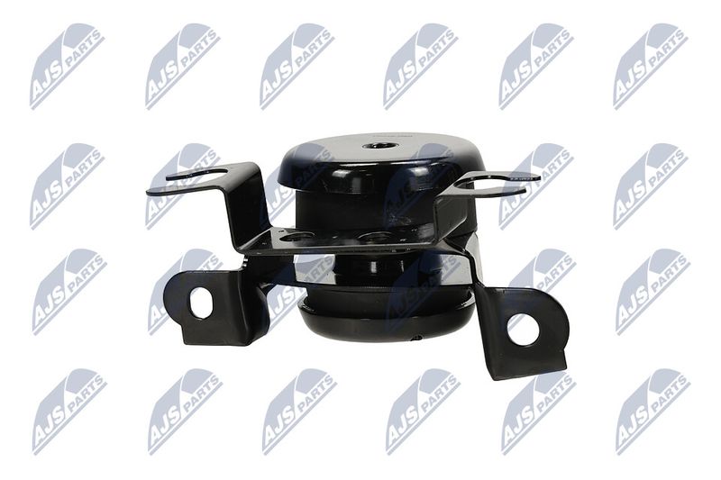 Paigutus, Mootor, NTY ZPS-MZ-040