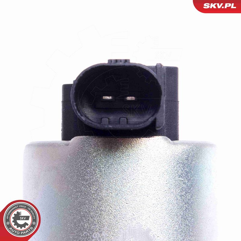 ESEN SKV 14SKV209 EGR Valve